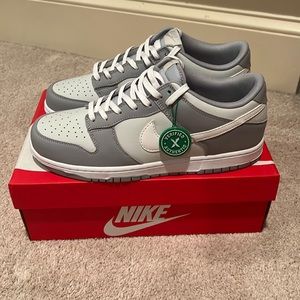 Nike Dunk Pure Platinum Size 12 Brand New (DS)